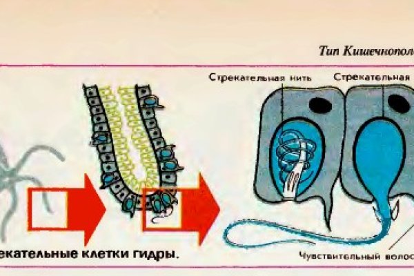 Ссылка кракен не работает