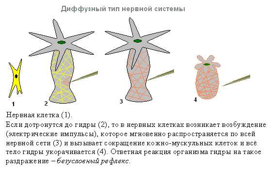 Кракен официальный сайт 2krnk